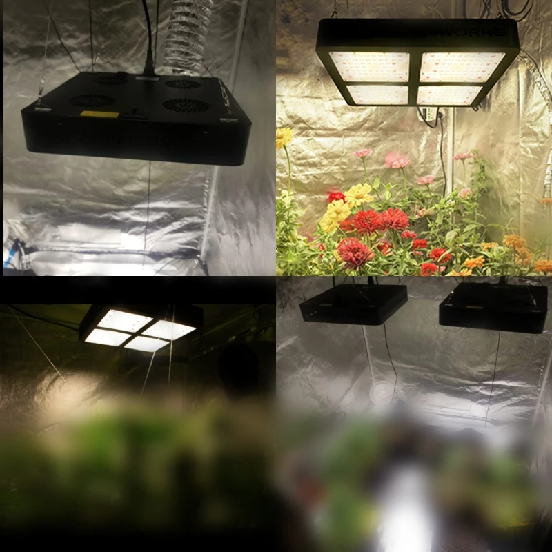 新产品温室植物水培照明smd 3030 Diy全光谱大功率00w Led植物生长灯 Buy Led植物生长灯 00w Led植物 生长灯 全光谱led植物生长灯 新产品温室植物水培照明smd 3030 Diy全光谱大功率00w Led植物生长灯 Buy Led植物生长灯 00w Led植物 生长灯 全光谱led植物生长灯