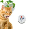 2019 New Design Transparent Plastic Interaction Flashing Electronic Cat Ball with Button