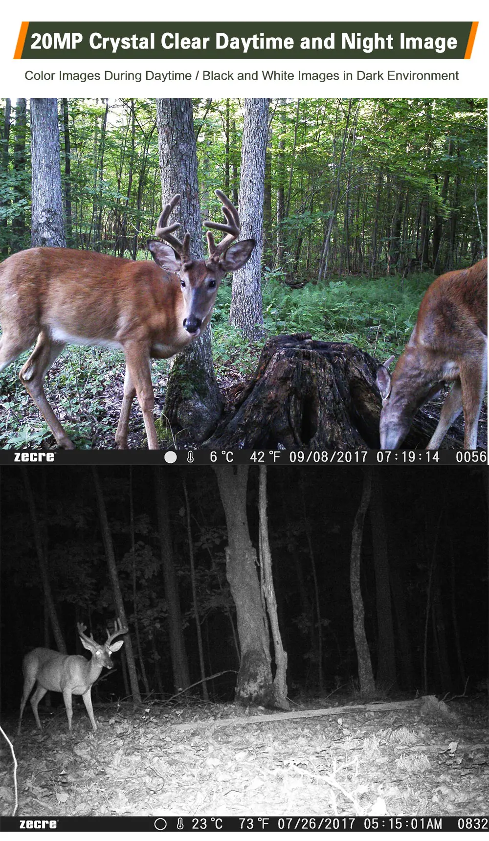 PH770-3G-Trail Camera7.jpg