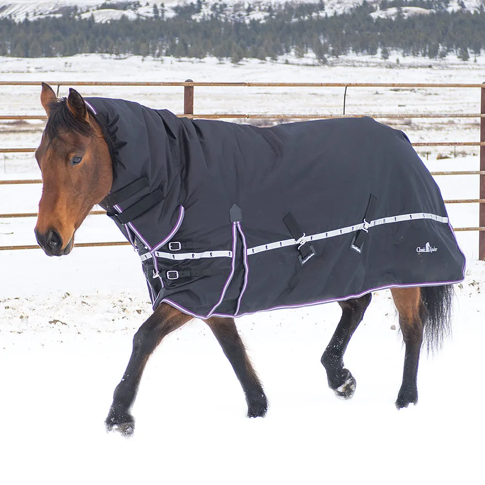 horse blanket with hood.jpg