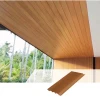 Rucca 2019 WPC/Wood and Plastic Composite Modern Decorative Exterior Wall Panel 120*12mm