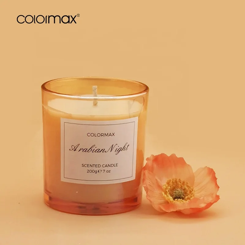 Custom 8 Oz 10 Oz 14 Oz Luxury Empty Container Matte Glass Candle Jar With Lid And Box For