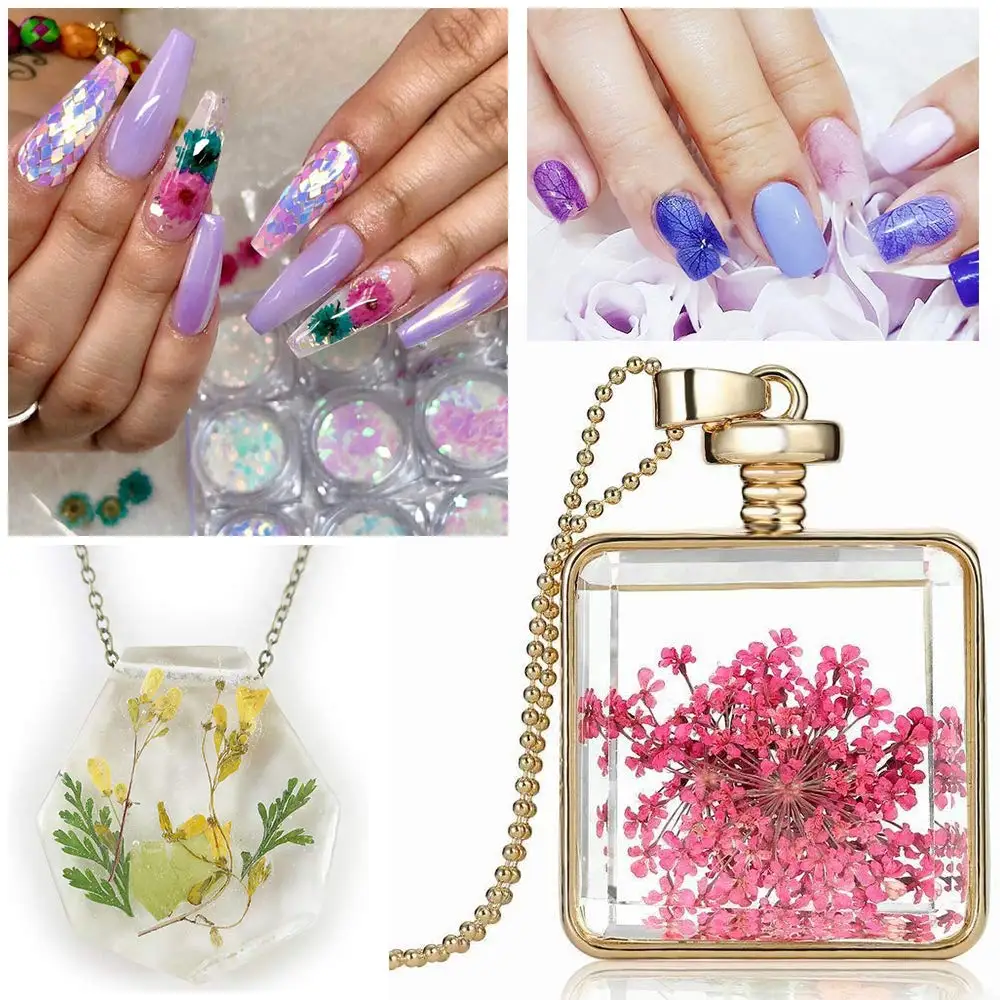 Wholesale Nail 3d Art Dry Flowers Gel False Nails Decoration Mini Dried