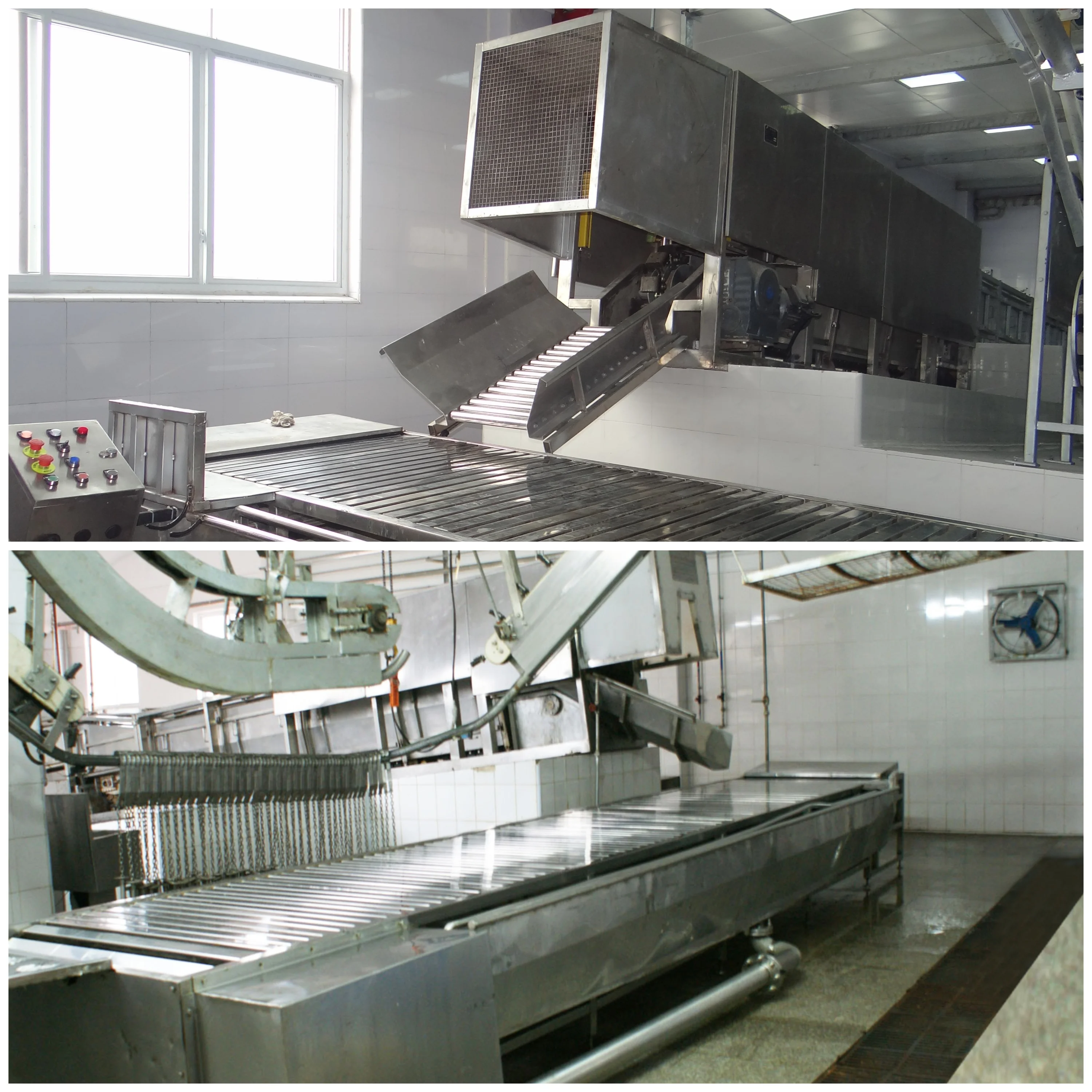 Complete pork slaughtering equipment package for modern slaughterhouse processing line