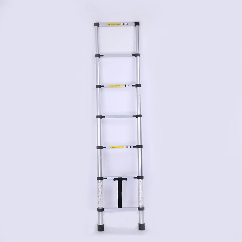 double telescopic ladder