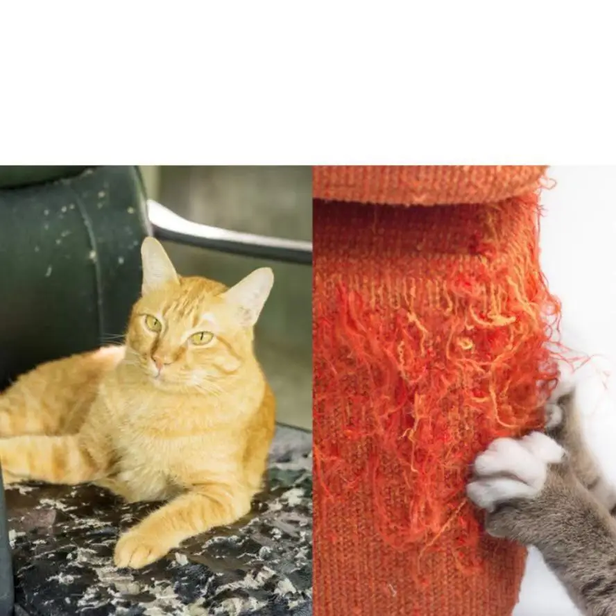 Защитная лента от кошек