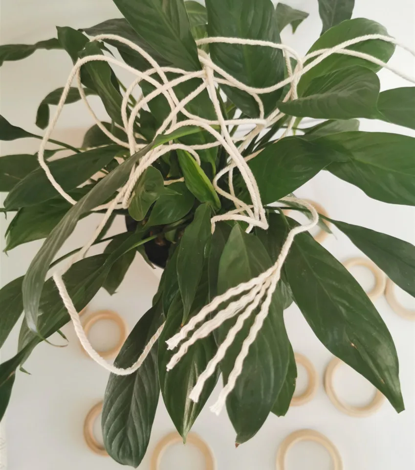 Wholesale 3/4/6mm High Quality Twisted Pure Macrame Cord ...