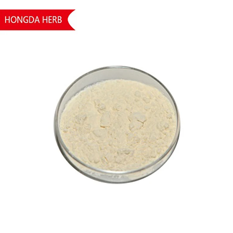 Aloe Vera Gel Powder 4.jpg