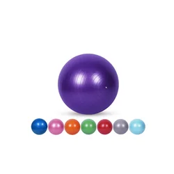 High quality PVC thick explosion-proof pelota fitness gym equipment fitnessball 55cm pilates balls