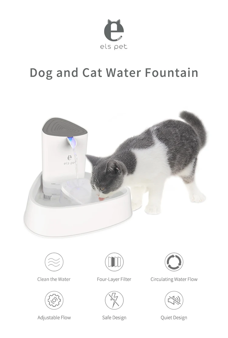 amazon pet water dispenser