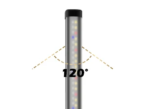 About this item