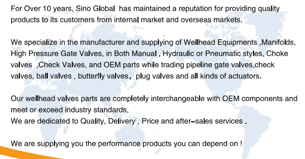 COMPANY INTRO