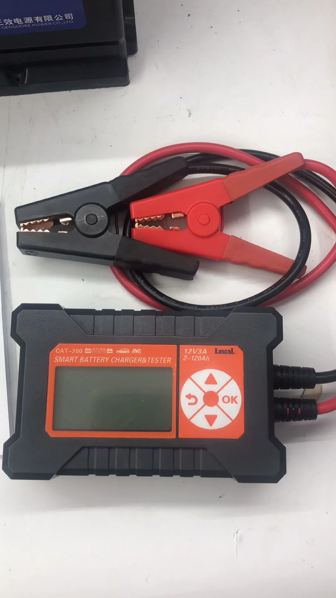 High Quality 12v 3a Bth Smart Car Lithium Battery Charger With Tester