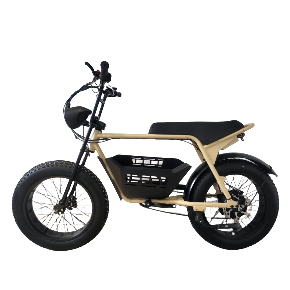 Super Ebike Zx z1 Z Zg 73 Bicycle Volt 48V 13AH 1000w Electric E