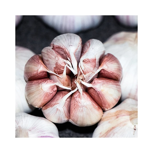 Wholesale spicy cooking gourmet seasoning fresh white garlic