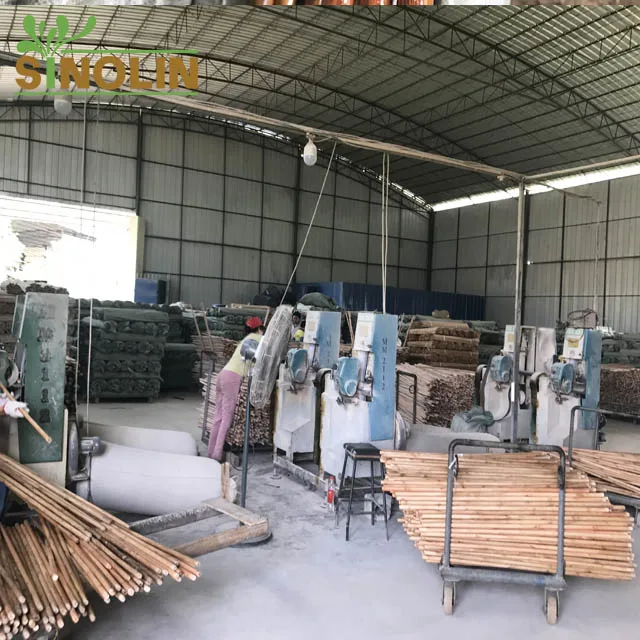 workshop 6