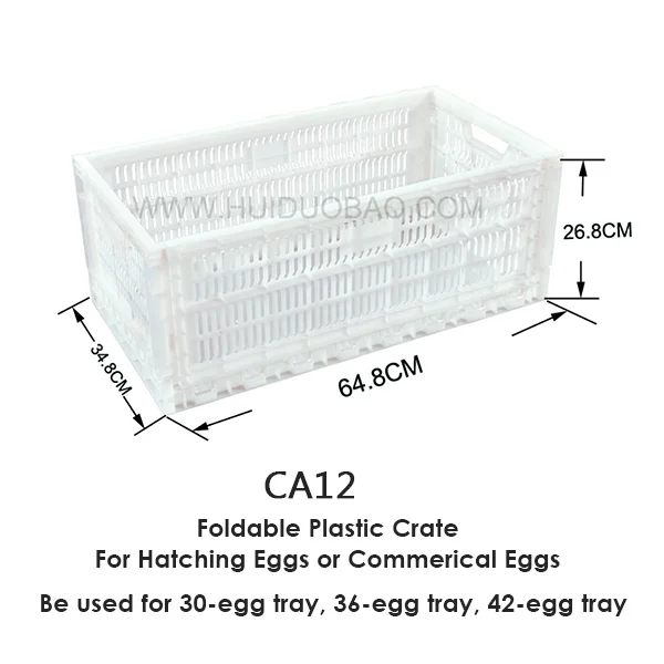 Folding Sheets Packing Pp Plastic Egg Crate Buy Folding Egg Crate
