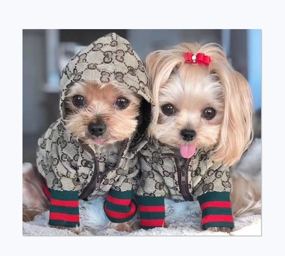 

High-end luxury brand Fashionable dog jacket waterproof zipper dog clothes coat
