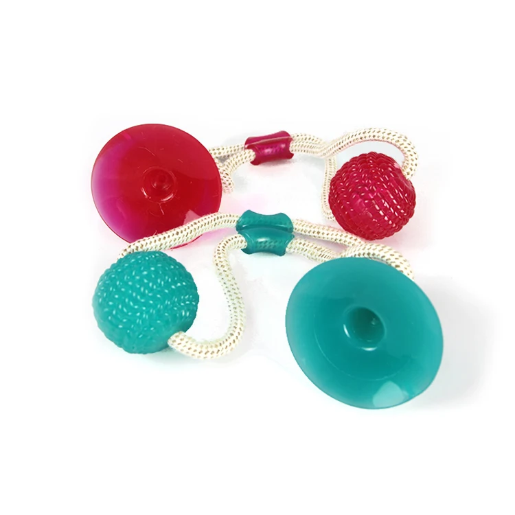 Suction Cup Bite Dog Toy.jpg