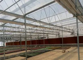 Gutter Connected Multi Span Film Greenhouse With Frame Sell Used For ...