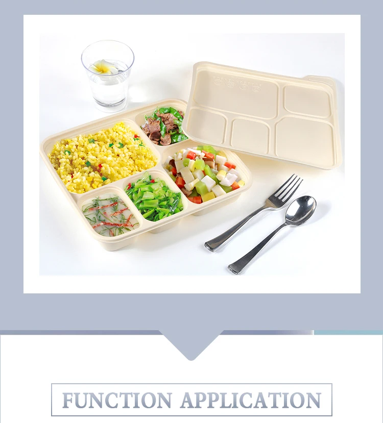 Microwave Safe Compostable Takeaway Food Container Disposable Corn Starch Plastic Bento Lunch Box