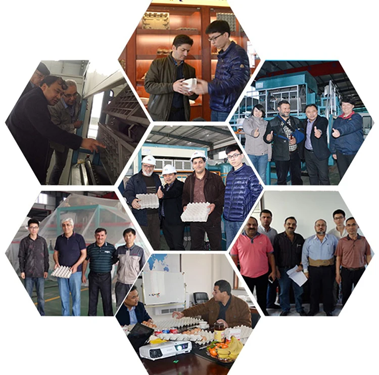 eco friendly disposable plate molded pulp tableware making machine