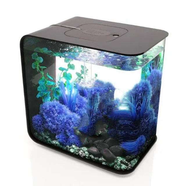wall mounted aquarium