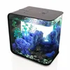 /product-detail/pha-04-wall-mounted-acrylic-fish-aquarium-wall-hanging-fish-tank-acrylic-betta-fish-tank-434786173.html