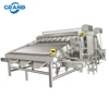 Shrimps processing shrimp grading machine grading prawn machine