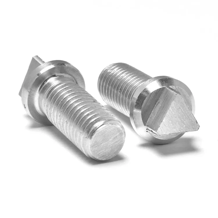 Stock M6 M8 M10 Ss304 Big External Triangle Head Security Tamper Proof
