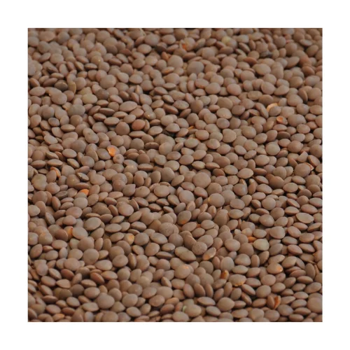 
Russian Wholesale Red Split Lentils 