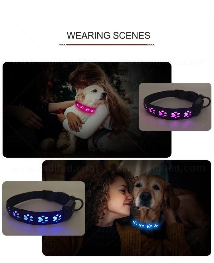 Pretty Design Led RGB Multicolor Pet Collar PU Leather with Hollow Printing  Collars Led pet Dog Necklace Colorful Light