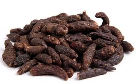 factory supply high quality hot selling vanilla extract cyperus