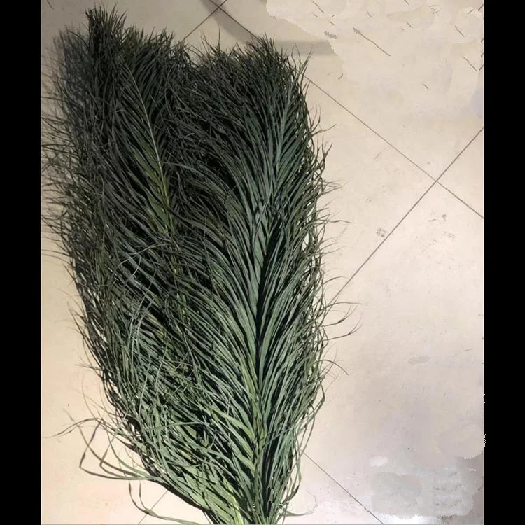  2020 best sale wedding artificial flower natural dried flower dry Livistona chinensis supplies (4).jpg