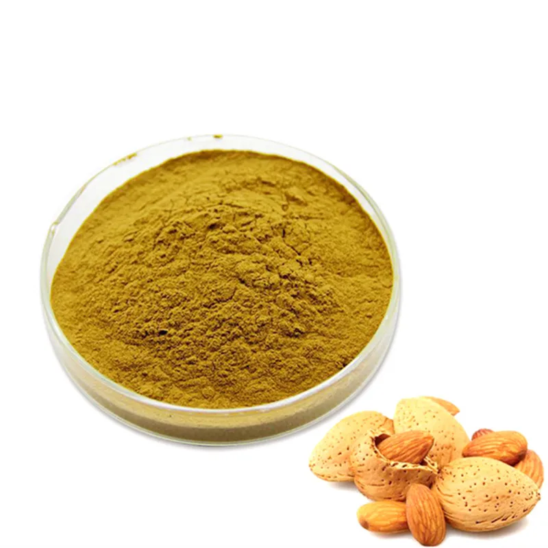 مسحوق خلاصة اللوز المشمش المر عالي الجودة 98 Amygdalin Buy مستخلص اللوز المر مسحوق مستخلص اللوز المر Amygdalin Product On Alibaba Com