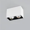Indoor Downlight Surface Mounted 2 X 50W CCT Selectable Customized Square Downlight Ceiling Light for Art Exhibition Wholesale