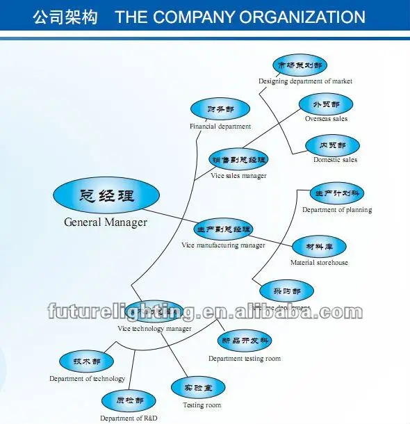 company structure