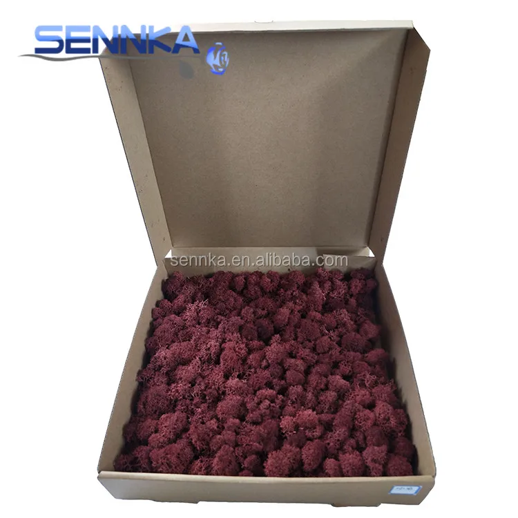 Bulk Dried Flowers White International Real Natural Preserved Roses