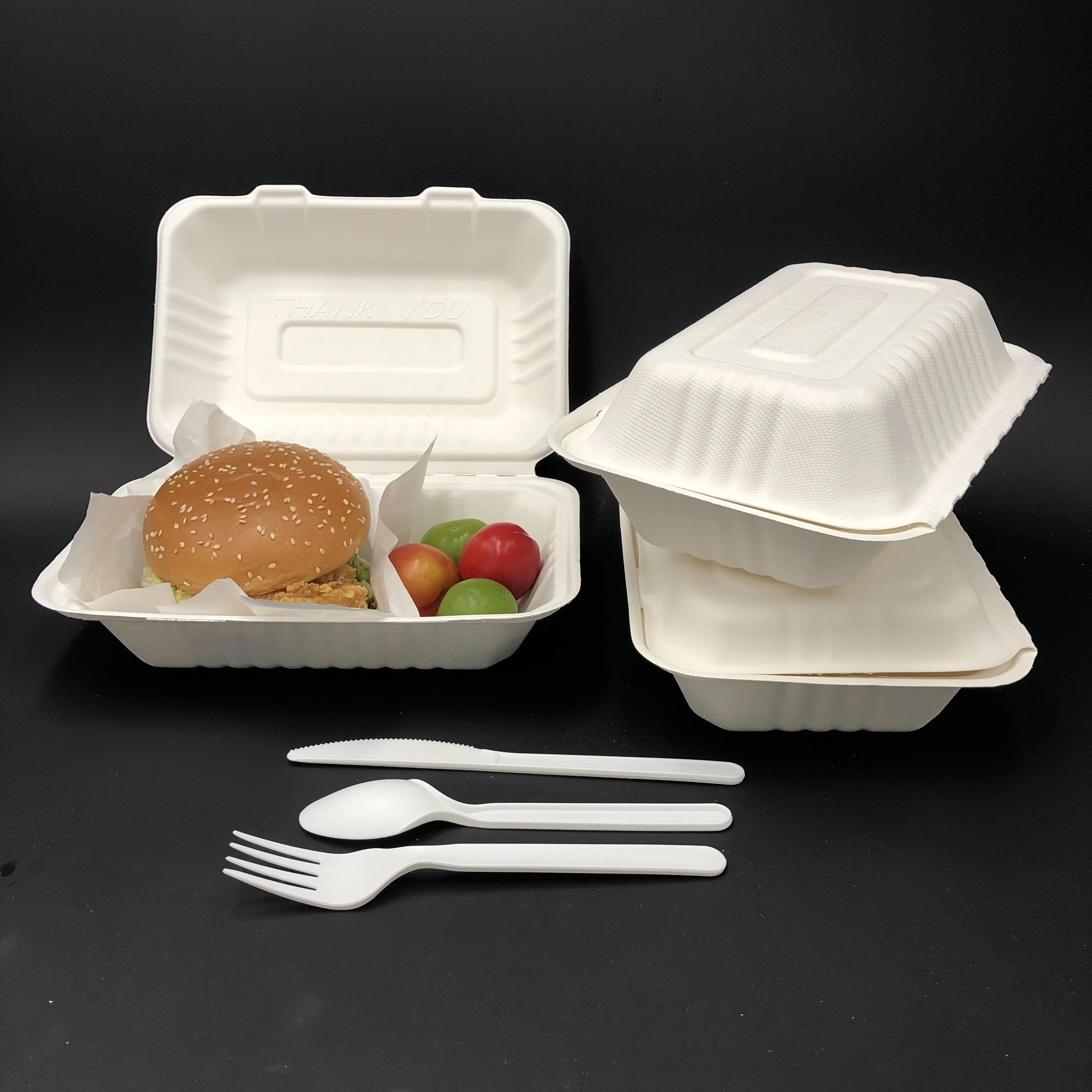 Eco Friendly Takeaway Food Packaging Compostable Sugarcane Bagasse ...