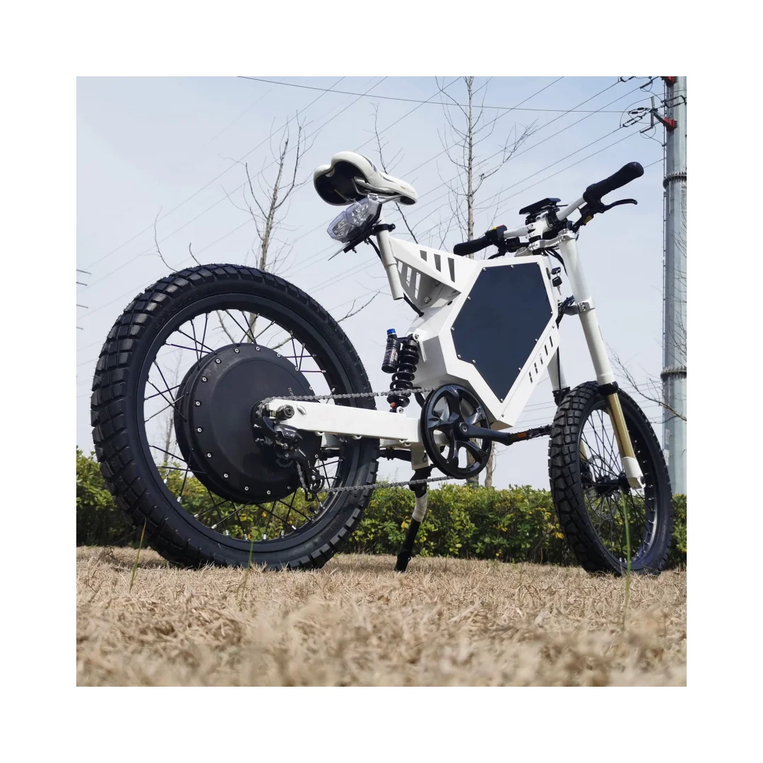 2024 hot Drop Shipping mountain road fat bike fast start Stealth Bomber Dirt Ebike electric bicycle With Big Discount