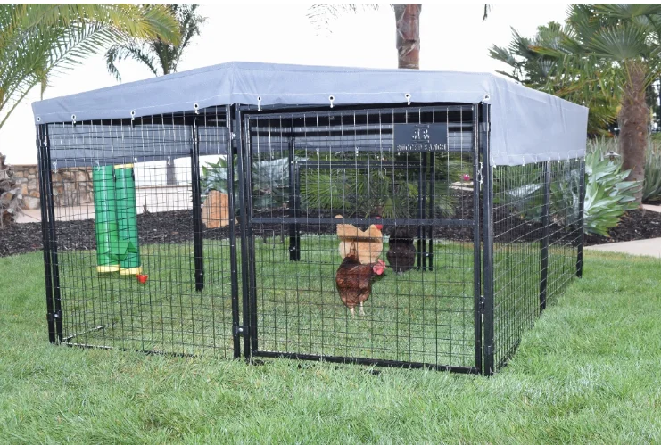 dog kennel hutch