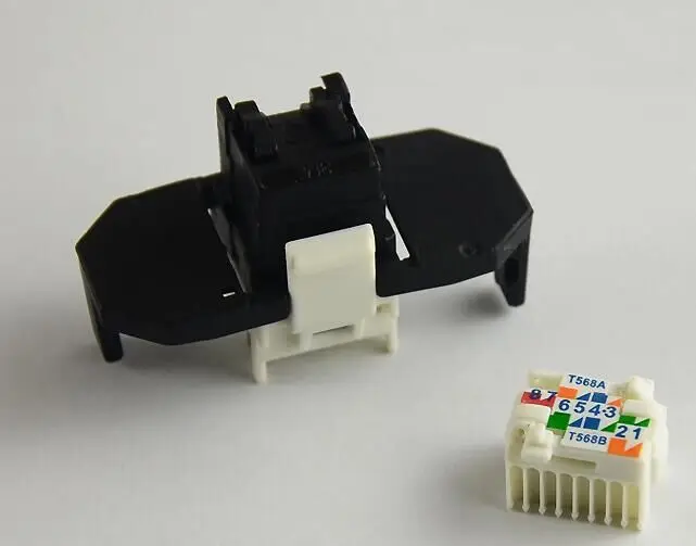 cat6 5.jpg