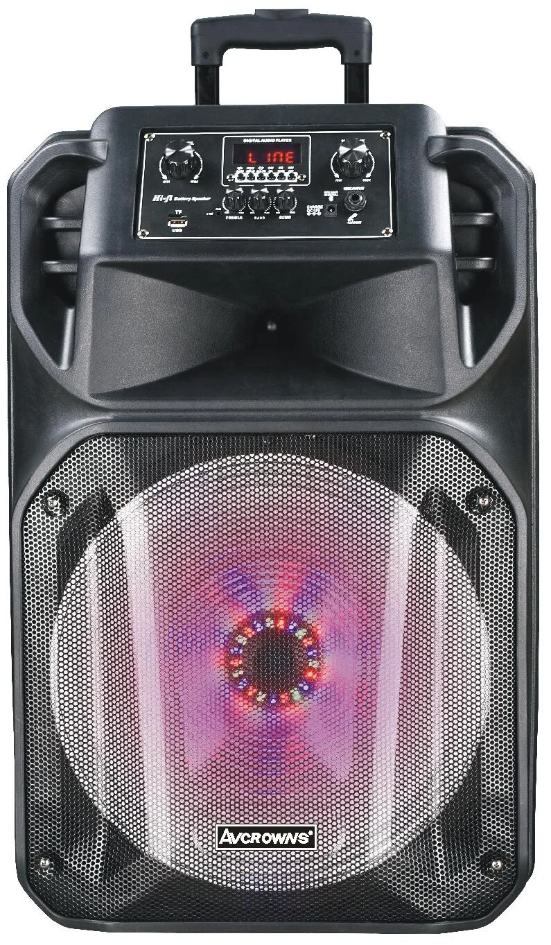 New Arrival Large Portable Bluetooth Transducer Trolley Speaker Ch8116