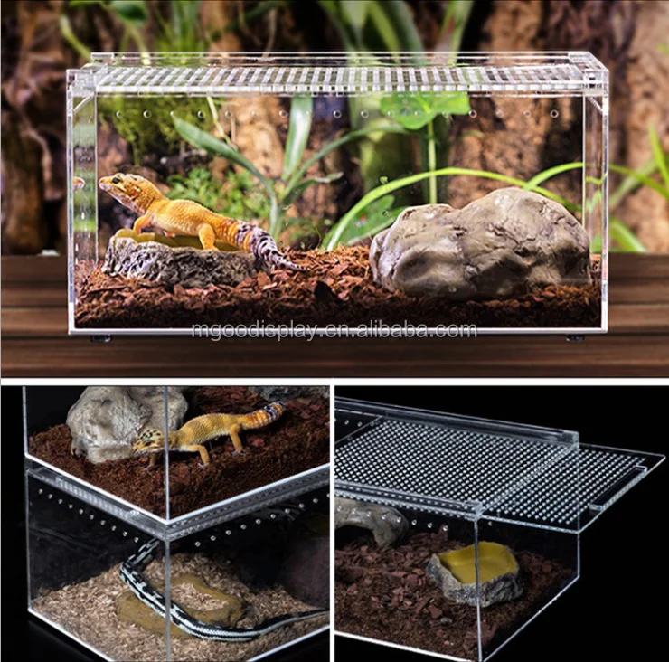 feed box