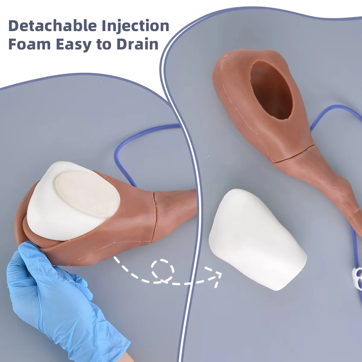 Veterinary Dog Injection Practice Canine Leg Injection Trainer for IM&IV Injections Medical Saphenous Vein Blood Collection