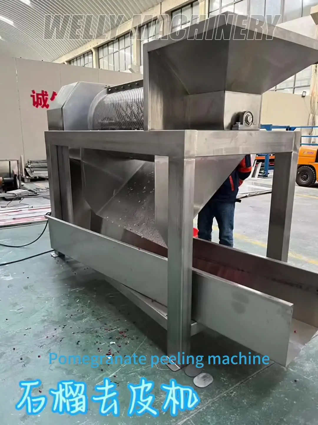 Set Pelamograno Acciaio Inossidabile - Strumento Professionale Per Rimuovere I Chicchi