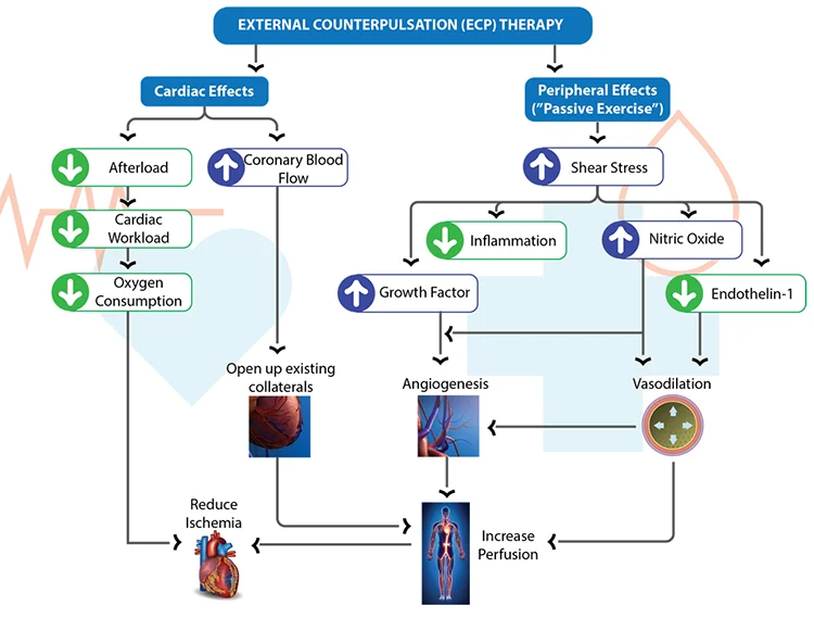 CE ISO approved EECP heart therapy machine