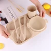 2019 Classics Design Plate Wheat Lunch Box with Cutlery Spoon Fork Cup For Kids