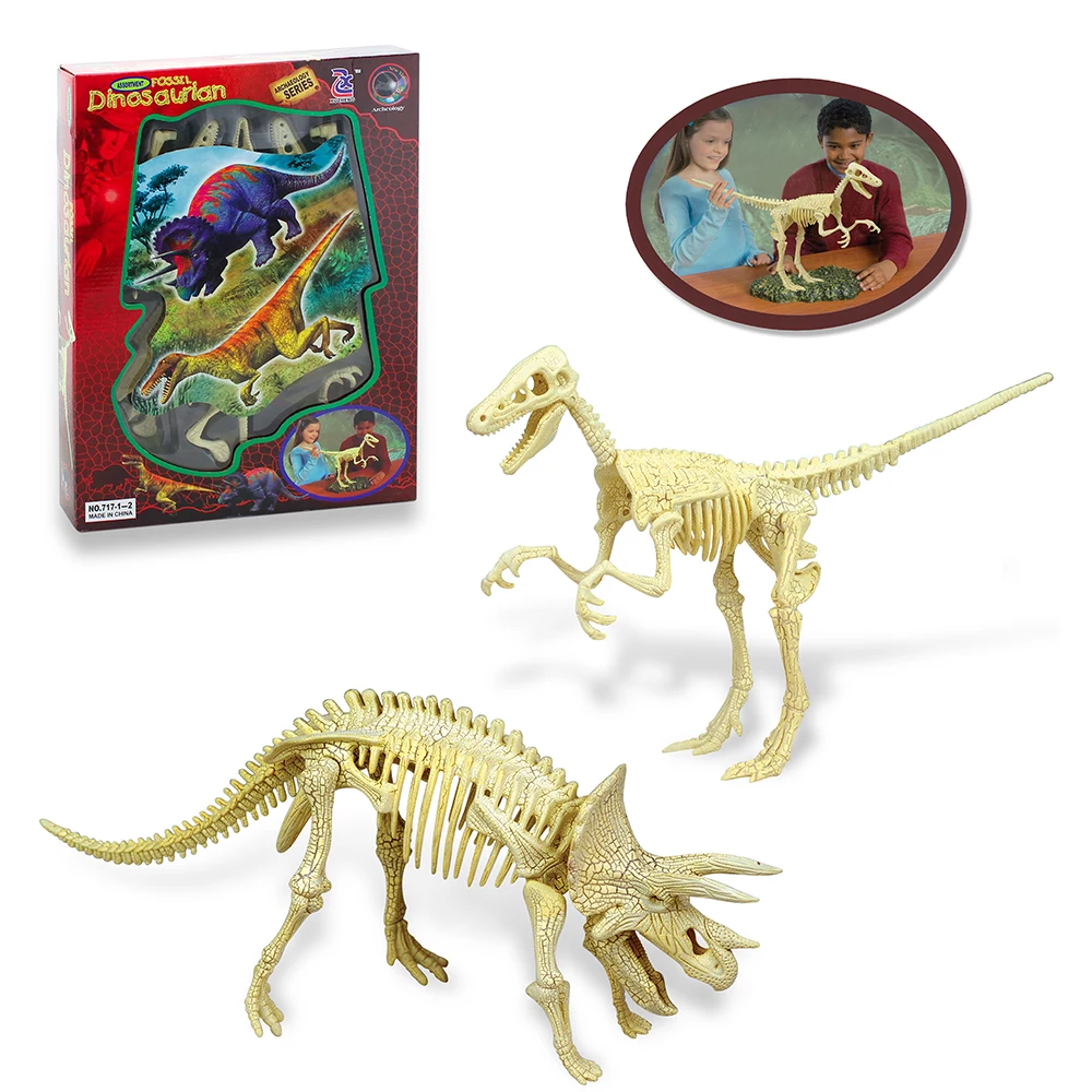 plastic dinosaur skeletons