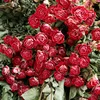 dry flower raw materials wholesale Dried rose flower for Home and gifts